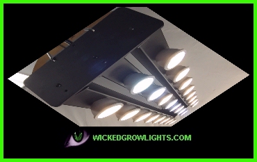 led full spectrum grow light bulb